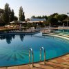 Piscina con gradini e ombrelloni, contornata da alberi.