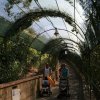 Passaggio coperto con vegetazione, persone con passeggini.