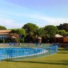 Piscina recintata con lettini sotto ombrelloni e giardino verde intorno.