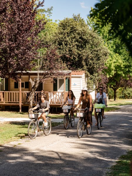 Famiglia in bicicletta su un vialetto alberato.