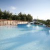 Ampia piscina con ponte, contornata da alberi e lettini.