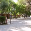 Sentiero ghiaiato ombreggiato da alberi e cespugli.