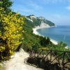 Sentiero costiero con fiori gialli.