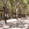 Bungalow tra alberi alti in un campeggio ombreggiato.