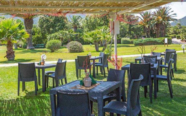 Tavoli all'aperto su prato verde con palme.