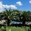 Piscina circondata da palme.