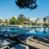 Lettini accanto a una piscina con palme e edifici sullo sfondo.