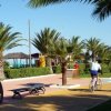 Percorso ciclabile tra palme e panchine vicino a un'area verde.