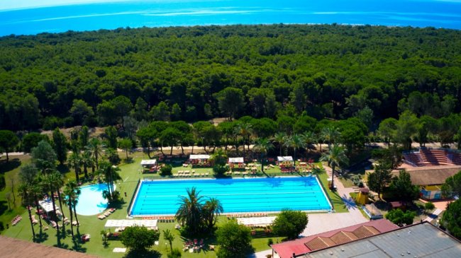 Una grande piscina con vista sul mare e alberi intorno.