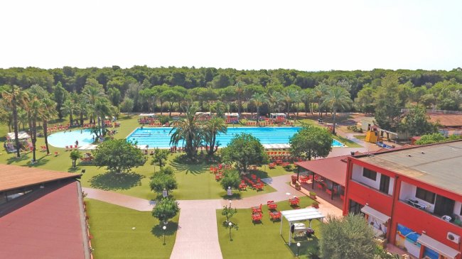 Vista su una piscina circondata da alberi e palme.