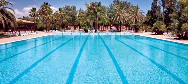 Ampia piscina con palme e lettini.