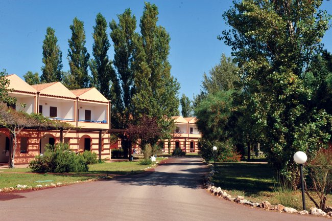 Strada asfaltata tra villette con alberi alti.