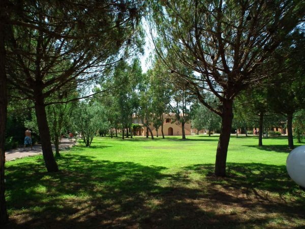 Parco verde con alberi e prato ben curato.