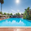 Piscina all'aperto con lettini, circondata da palme sotto il sole.