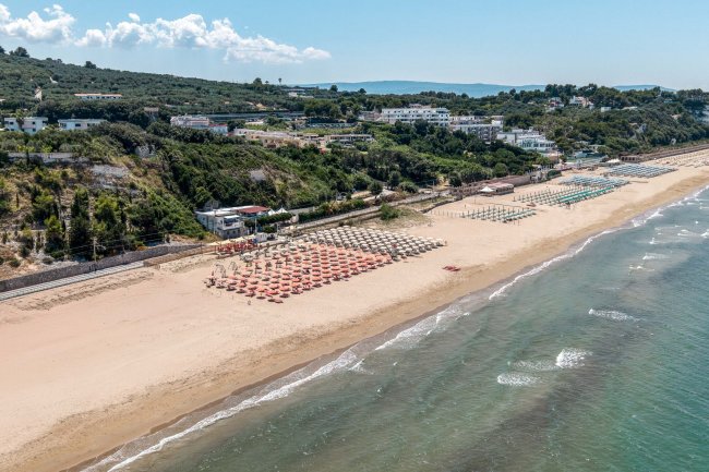 Spiaggia con file di ombrelloni e mare calmo.